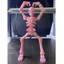 Đồ chơi xương lắp ghép | Công nghệ in 3d | In3D