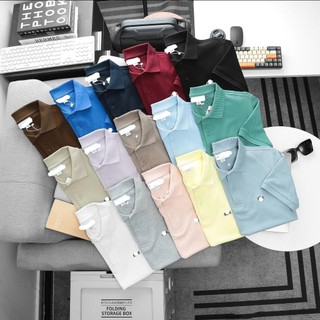 Áo Polo Nam Pique Cotton Cao Cấp Form Suông Basic , bigsize 130kg - Vargo