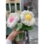 Hoa Len Nhung Đũa Mềm Mịn Siêu Đẹp