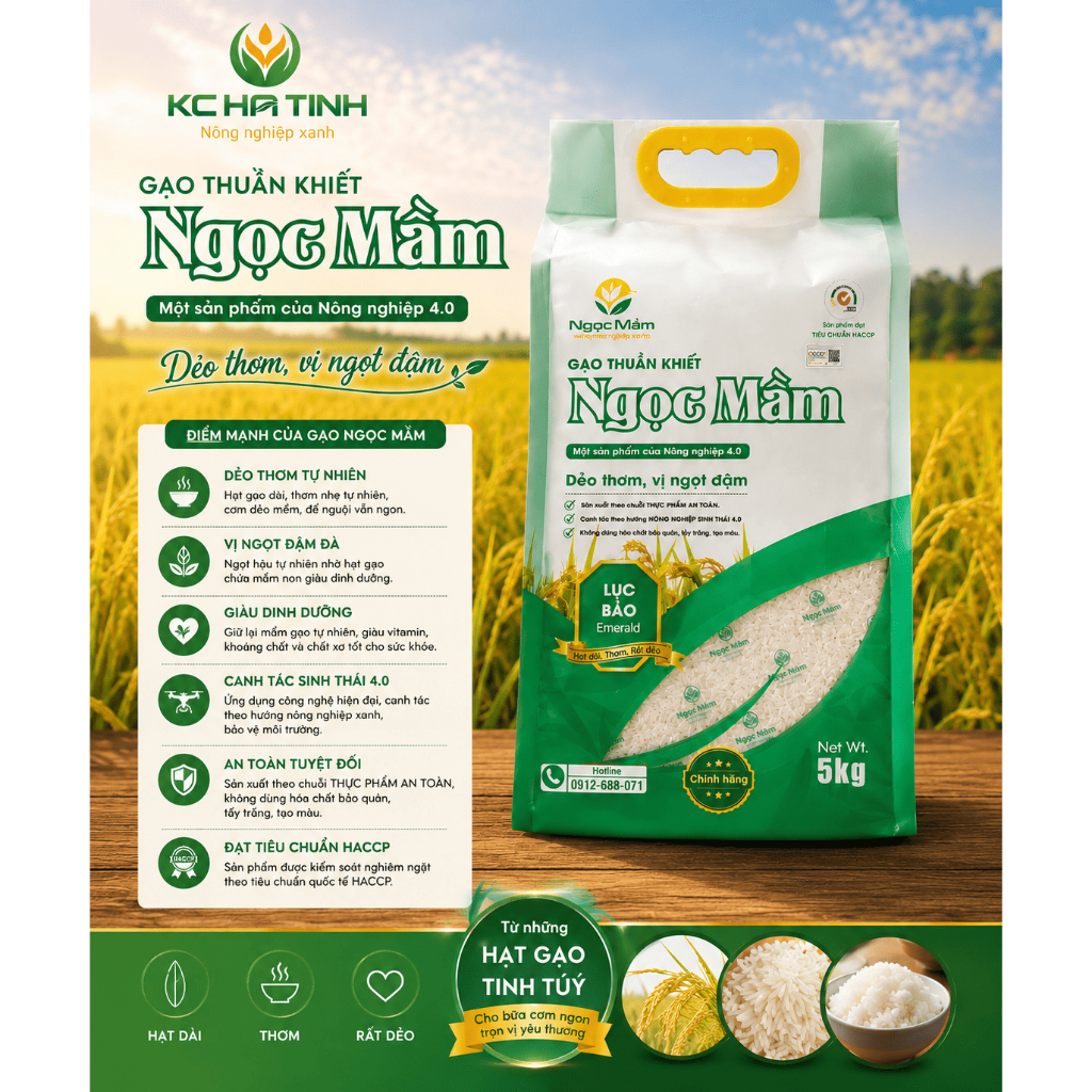 Combo 2 Túi Gạo Ngọc Mầm 5kg -Hút Chân Không - Thơm Dẻo Hà Tĩnh