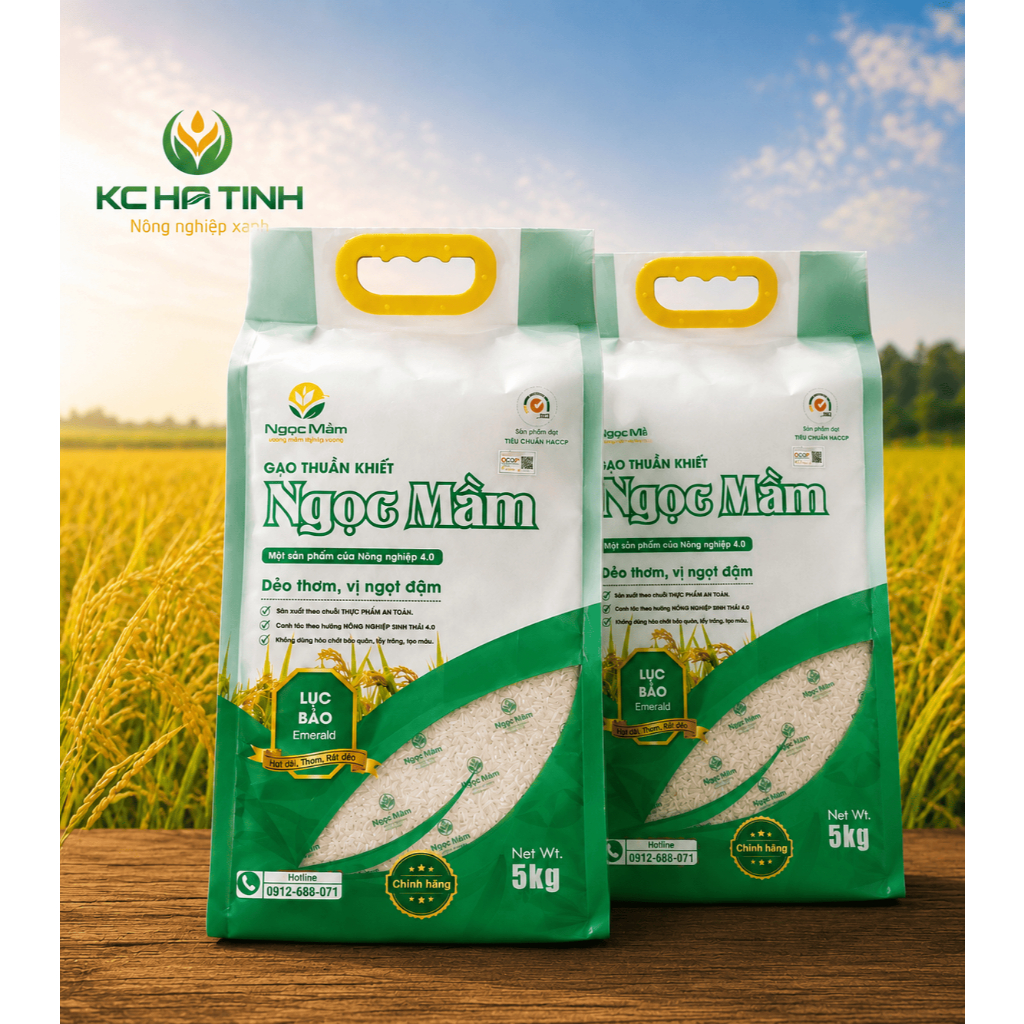 Combo 2 Túi Gạo Ngọc Mầm 5kg -Hút Chân Không - Thơm Dẻo Hà Tĩnh
