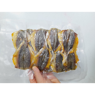 Cá Chỉ Ngân Khô Đặc Sản Hải Thịnh Nam Định – Cá Khô Tươi Tự Nhiên Không Chất Bảo Quản vị ngọt thơm- Hải Sản Khô Ngon -