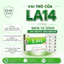 1 Vỉ Lẻ 10 Viên Men Vi Sinh Phụ Khoa Lavi Biotic