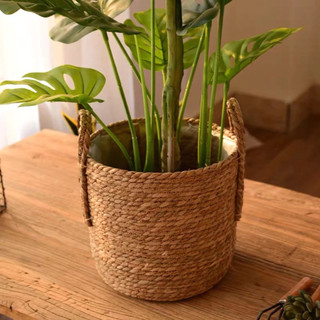 Giỏ lục bình trồng cây, giỏ cói có quai cầm, giỏ đựng đồ