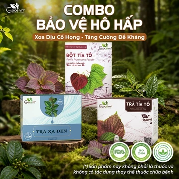 Combo Bảo Vệ Hô Hấp Goce (1 Hộp Bột Tía Tô 45g + 1 Hộp Trà Tía Tô 40g + 1 Hộp Trà Xạ Đen 60g)