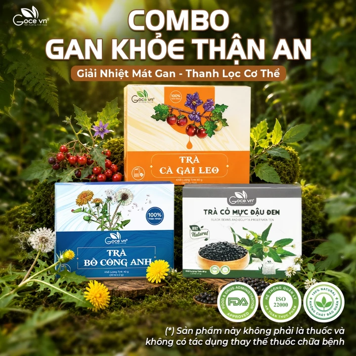Combo Gan Khỏe, Thận An Goce (1 Hộp Trà Bồ Công Anh 40g + 1 Hộp Trà Cỏ Mực Đậu Đen 80g + 1 Hộp Trà Cà Gai Leo 60g)