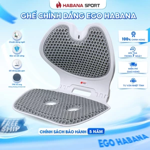 Ghế Chỉnh Dáng EGO Công Thái Học Gấp Gọn, Hỗ Trợ Cột Sống, Giảm Đau Mỏi.