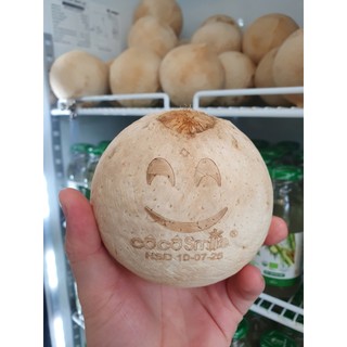 Dừa Xiêm Coco Smile - Xanhsam Natural & Organic
