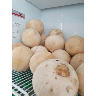 Dừa Xiêm Coco Smile - Xanhsam Natural & Organic