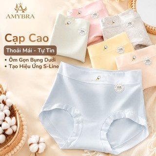 [ MẪU MỚI ] Combo 6 Quần Lót Nữ Cotton Mềm Mại, Set Quần Chip Đáy May Kháng Khuẩn AMYBRA New