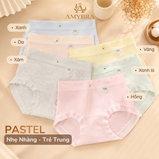 [ MẪU MỚI ] Combo 6 Quần Lót Nữ Cotton Mềm Mại, Set Quần Chip Đáy May Kháng Khuẩn AMYBRA New