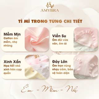 [ MẪU MỚI ] Combo 6 Quần Lót Nữ Cotton Mềm Mại, Set Quần Chip Đáy May Kháng Khuẩn AMYBRA New