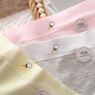 Combo 3 Quần Lót Cotton Nữ Viền Chun Mềm Chống Hằn Xinh, Quần Chip Cạp Cao Thấm Hút Tốt King Shop L-6017