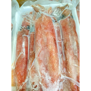 Mực ống câu Phú Quốc sống cấp đông size 8-12 con/kg. ( 500gr/khay)