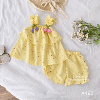 A493 Bộ áo đính hoa tulip và quần