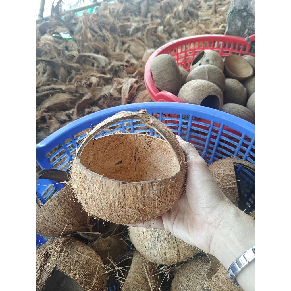 Gáo dừa cắt có quay xách - dùng làm giỏ hoa, chậu, đựng thức ăn thú cưng, đồ dùng...