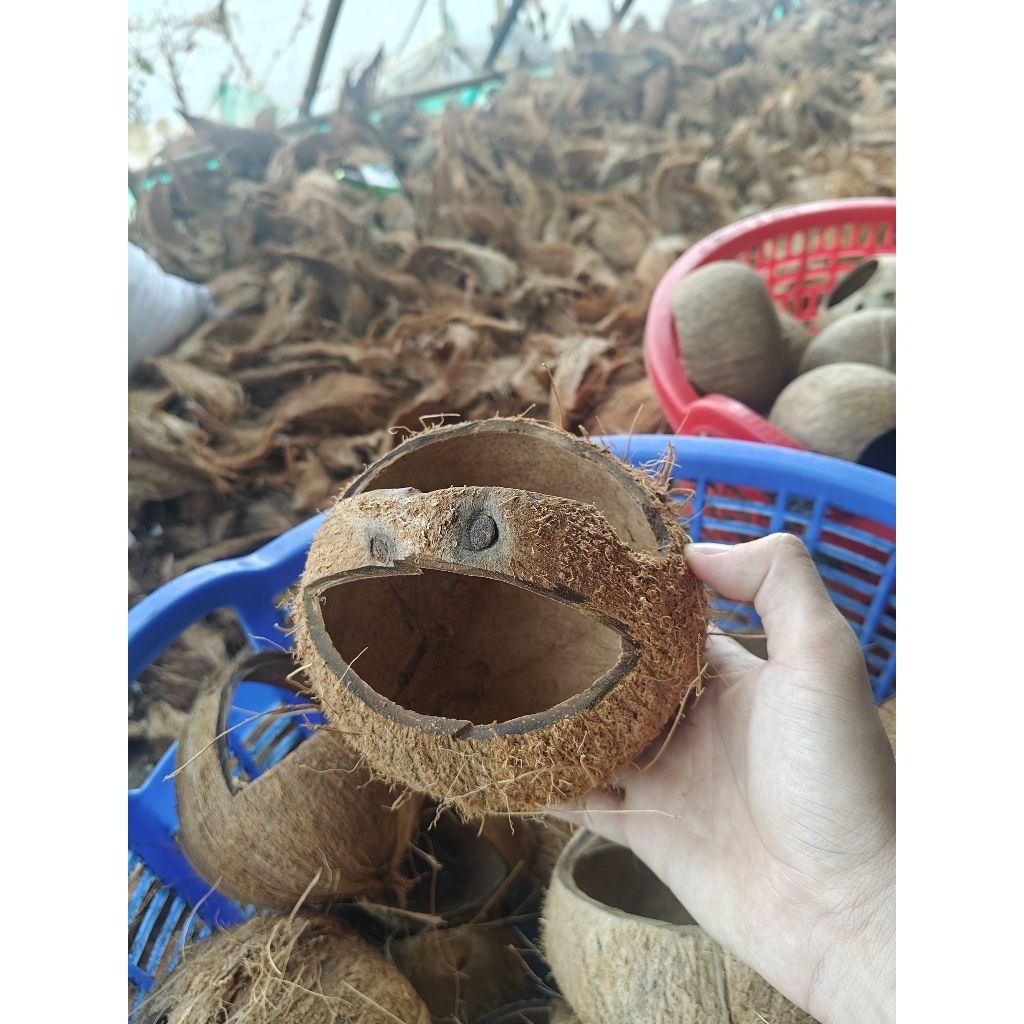 Gáo dừa cắt có quay xách - dùng làm giỏ hoa, chậu, đựng thức ăn thú cưng, đồ dùng...