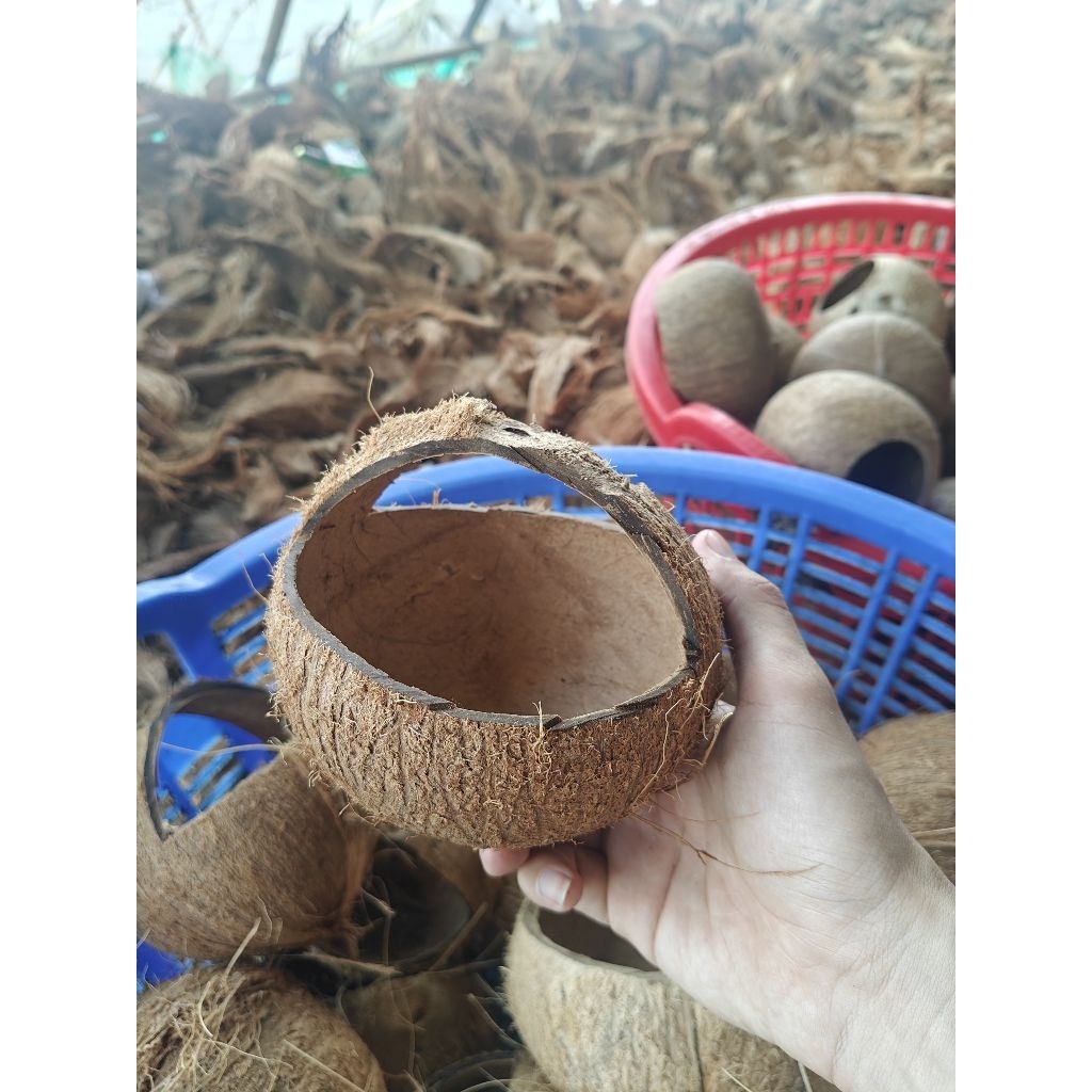 Gáo dừa cắt có quay xách - dùng làm giỏ hoa, chậu, đựng thức ăn thú cưng, đồ dùng...