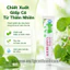 Kem Bôi Giấp Cá Roxtech với giấp cá giúp giảm trĩ, táo bón, đau do nứt kẽ hậu môn