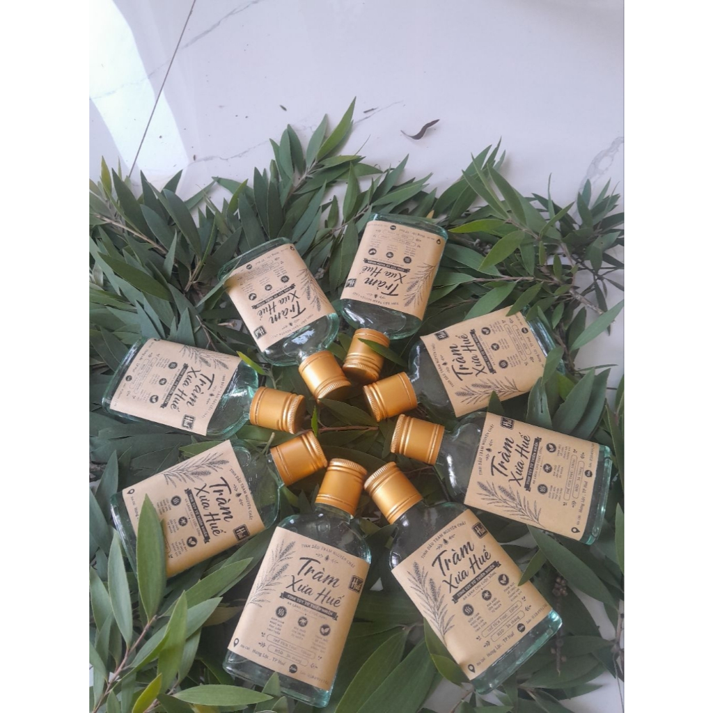 Tinh dầu tràm nguyên chất Tràm Xưa Huế