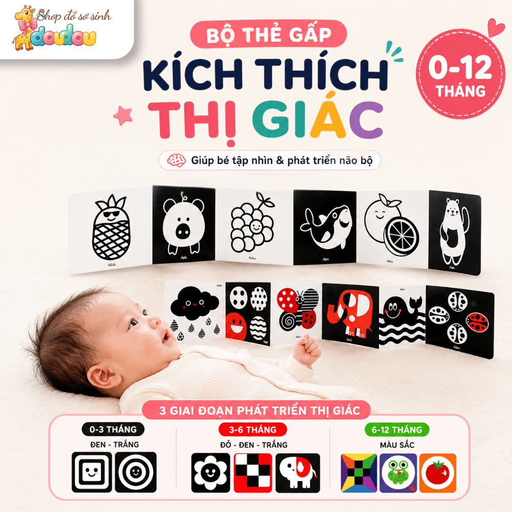 Thẻ Kích Thích Thị Giác Cho Bé In 2 Mặt DouDou (0 - 12M+) A24 Hỗ Trợ Bé Nhận Biết Màu Sắc