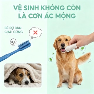 Tushie Treats Khăn lau ngón tay thú cưng Găng ngón vệ sinh răng miệng, mắt tai cho thú cưng, gói 37 cái