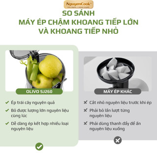 [CHÍNH HÃNG] Máy Ép Chậm OLIVO SJ260, Lưỡi Dao Kép, Khoang Tiếp Lớn, Ép Kiệt, Dễ Dàng Vệ Sinh