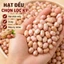 Đậu Phộng Bình Định Hạt To Đều Thơm Bùi Tự Nhiên Nấu Xôi Làm Bánh Đóng Gói Kỹ Giá Tốt