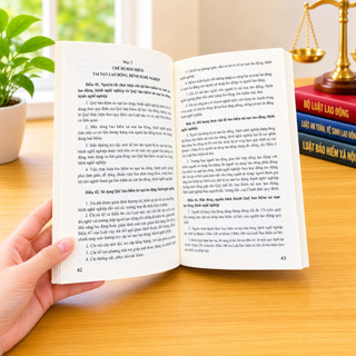 Sách - Luật An Toàn, Vệ Sinh Lao Động (Sửa đổi, bổ sung năm 2024) - ndbooks