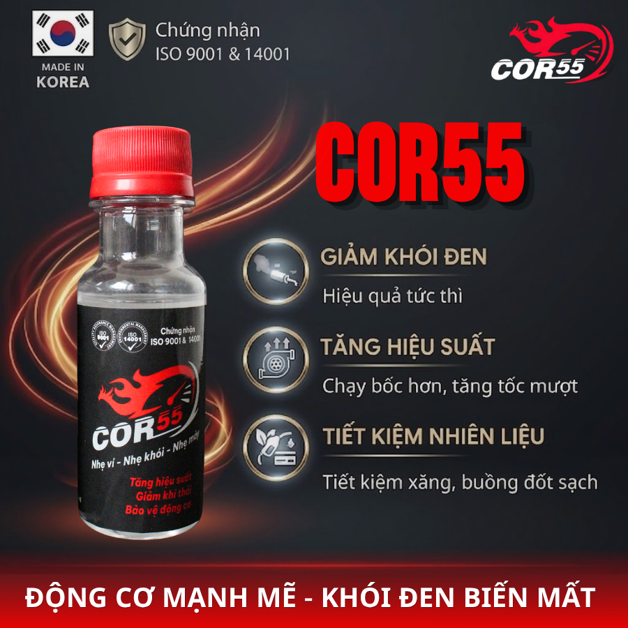 Vệ Sinh Kim Phun, Buồng Đốt | Tiết kiệm Nhiên Liệu | Giảm Khói (Cho Xăng E10.E5 & Dầu  Diesel)