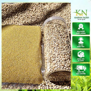 Hạt Ý Dĩ Vụ Mới Loại To Đẹp 1kg| Hạt Mẩy Thơm Bùi Hàng Sạch Tuyển Chọn