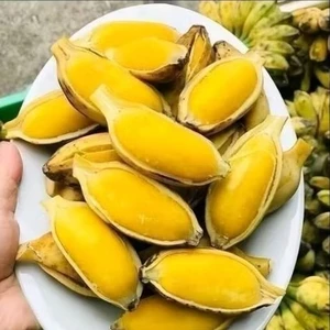 Chuối sáp nghệ rời từng trái dẻo thơm ngon