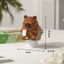 Đồ Chơi Lắp Ráp Capybara Mini 600+ PCS | Mô Hình Trang Trí Quà Tặng Độc Lạ | Tomoni