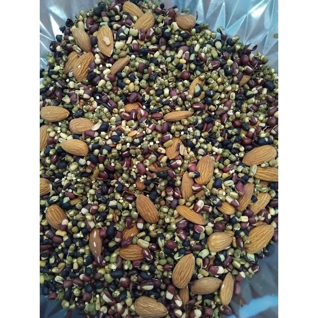Ngũ cốc dinh dưỡng hộp 500g- Ngũ cốc nảy mầm Minh Anh