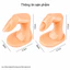Combo 2/5 ngón móng tay giả tập nail chuyên dụng