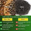 Hạt chia hữu cơ loại một hạt đẹp dùng để pha chế làm topping dẻo thơm giảm cân eo thon đẹp da