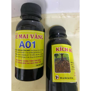 combo 2 lọ kích rễ cực mạnh A01 chính hãng