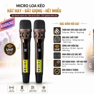 Loa Xách Tay Karaoke 24 Đường Tiếng D20 Công Suất Cực Khủng, 2 Bass 25Cm 16 Treb 6 Trung Chất Âm Chân Thực Và Sống Động