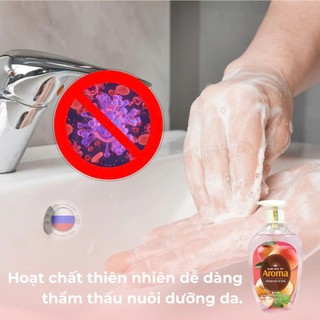 [41@@@] Nước Rửa Tay Aroma