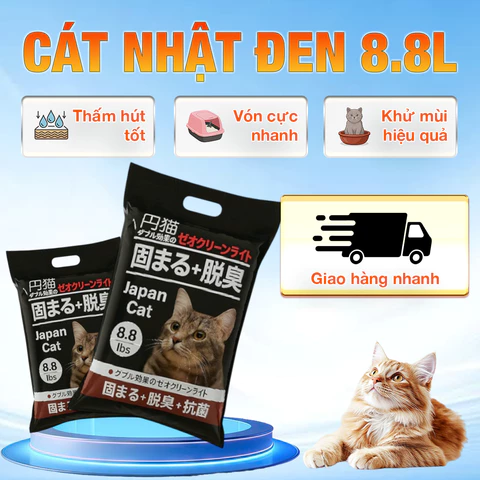 Pet Toy for Cats