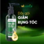 Dầu Gội Ngăn Rụng Tóc Và Dưỡng Tóc Chắc Khỏe VISANTE Từ Sâm Việt Nam 100ml