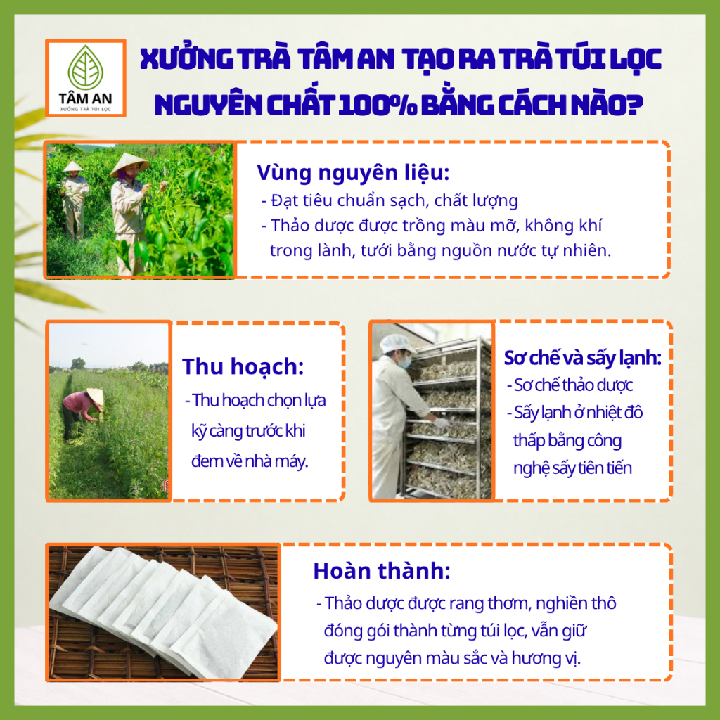 Trà Ích Mẫu Túi Lọc, Đậm Vị Thơm Ngon, Dễ Uống, Tâm An 30 Lọc