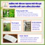 Trà Lá Sen Túi Lọc - An Thần Dễ Ngủ - Tâm An 30 Lọc