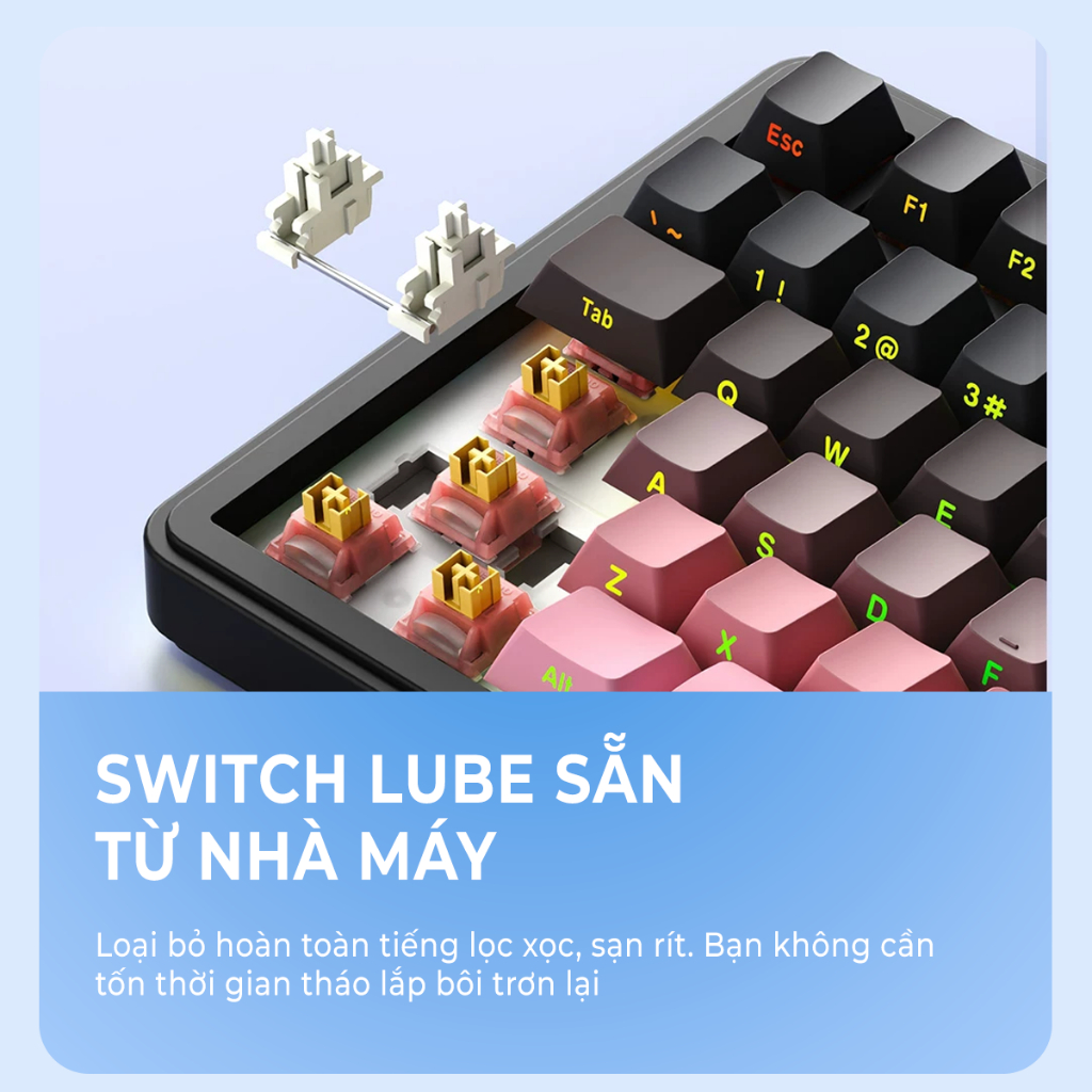 Bàn phím cơ Xinmeng M75 - Bàn phím cơ không dây led RGB, Pin 7000mAH, Bàn phím Hotswap, Núm xoay, 3 mode kết nối | BigBuy360 - bigbuy360.vn