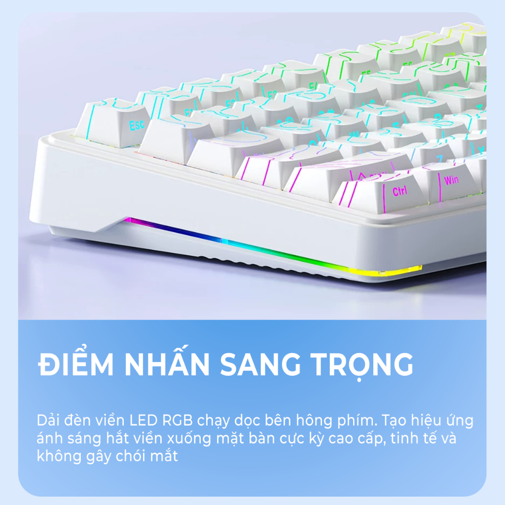 Bàn phím cơ Xinmeng M75 - Bàn phím cơ không dây led RGB, Pin 7000mAH, Bàn phím Hotswap, Núm xoay, 3 mode kết nối | BigBuy360 - bigbuy360.vn