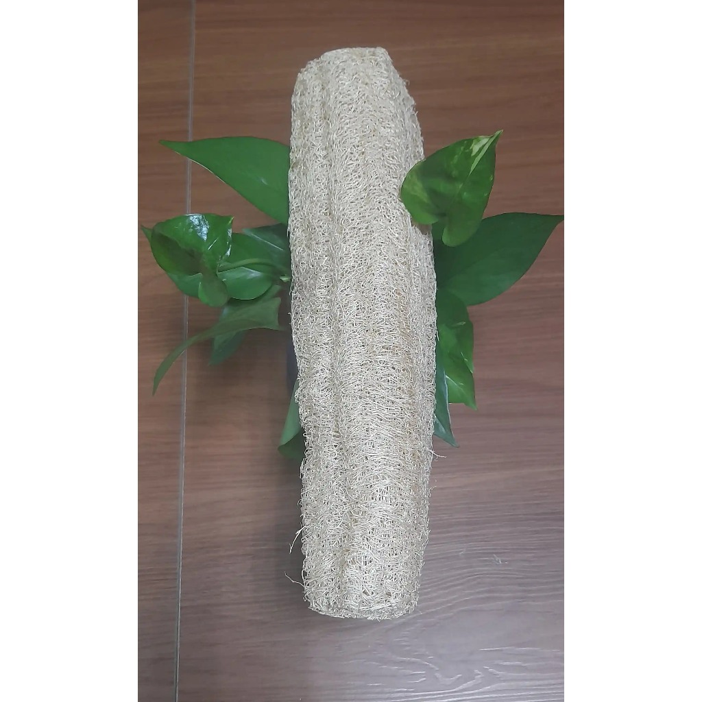 Xơ Mướp Nguyên Trái Tự Nhiên Nhiều Kích Thước Dùng Để Tắm, Chà Rửa Nhà Bếp Thân Thiện Môi Trường
