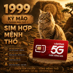 Sim Phong Thủy Hợp Tuổi 1999 Kỷ Mão Mệnh Thành Đầu Thổ Giúp Ổn Định Vận Khí Thu Hút Tài Lộc