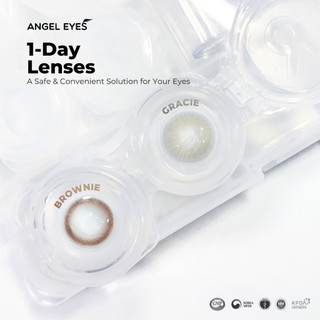 Lens 1 ngày màu xám và nâu độ cận 0-8 nhãn hiệu kính áp tròng Angel Eyes -Dia 14.2mm