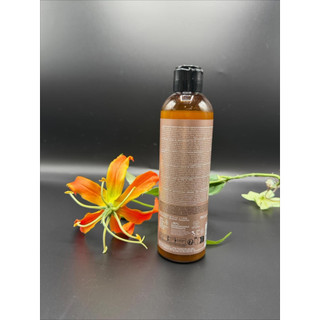 Dầu Gội Thuần Chay Siêu Mượt, Chống Rối Và Làm Mềm Tóc Nook Discipline Shampoo