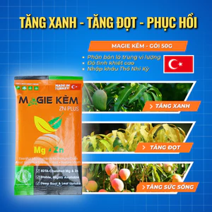 Chuyển Lá Vàng Thành Xanh MAGIE KẼM ZN PLUS Gói 50Gr Phân Bón Trung Vi Lượng Nhập Khẩu Thổ Nhĩ Kỳ
